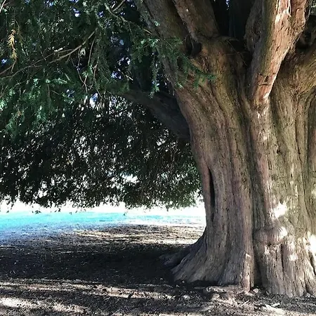 Casa La Rueda * Ponferrada